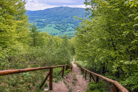 足迹在 Bieszczady 国家公园, 波兰的 Subcarpathian 省在 Wetlina 山牧场地