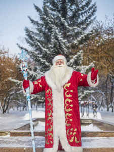 有趣而愉快的圣诞老人在森林里的新鲜空气和白雪覆盖的冷杉树枝上新年快乐