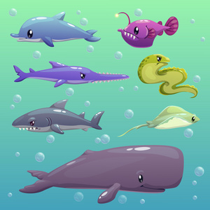 海洋动物