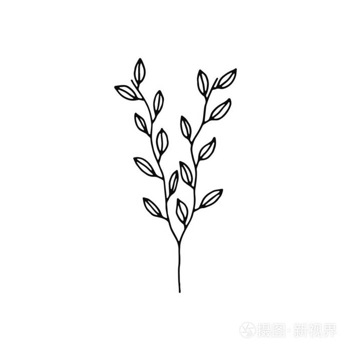 植物小枝与叶子图标。素描