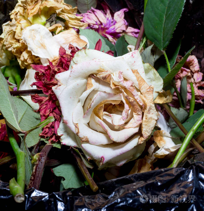 枯萎的白玫瑰和其他花在垃圾桶里干燥的花和叶子悲伤情绪坏的爱概念