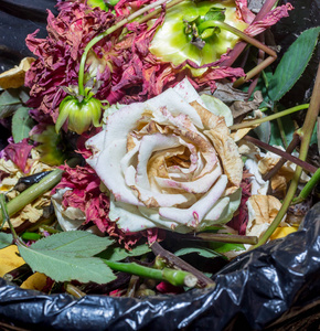 枯萎的白玫瑰和其他花在垃圾桶里.干燥的花和叶子.