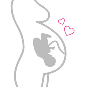 怀孕妇女腹部的胚胎