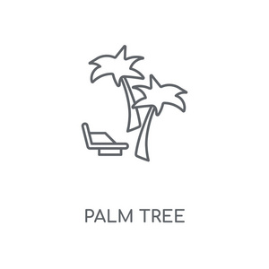 棕榈树线性图标。棕榈树概念笔画符号设计。薄的图形元素向量例证, 在白色背景上的轮廓样式, eps 10