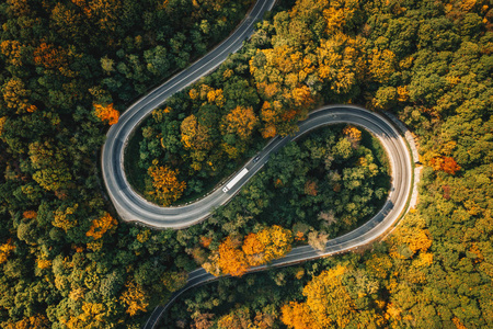 森林蜿蜒道路上的卡车