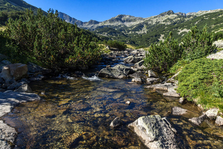 保加利亚 Pirin 山 Banderitsa 河景观令人惊叹