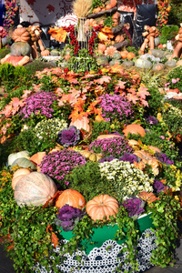 在美食节 黄金秋季 2018 的南瓜, 花卉和植物的风景。俄罗斯, 莫斯科, 2018年9月