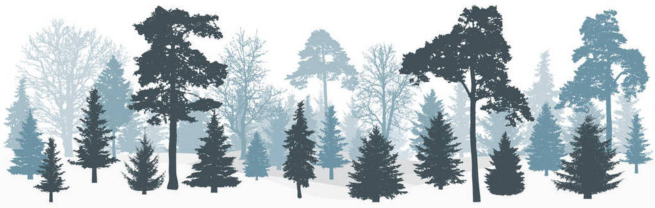 冬天的雪林 树木 云杉, 松树, 橡木等 剪影, 全景。向量例证
