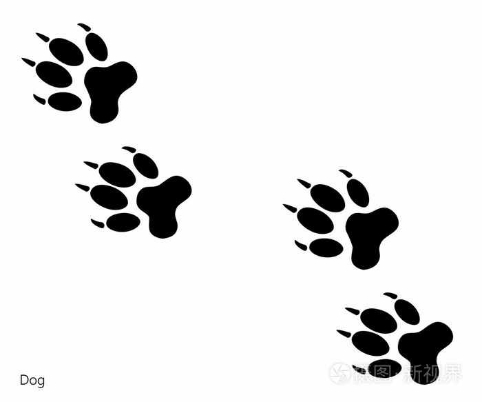 狗獾脚印图片