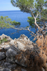 在晴朗的日子里, 蓝色大海的岩石海岸的风景如画的景色