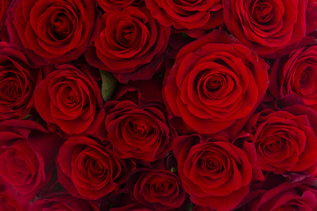 深红色玫瑰花束