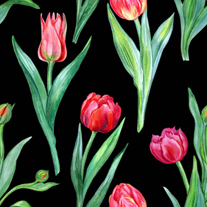 郁金香的无缝水彩图案。织物和其他表面花印花