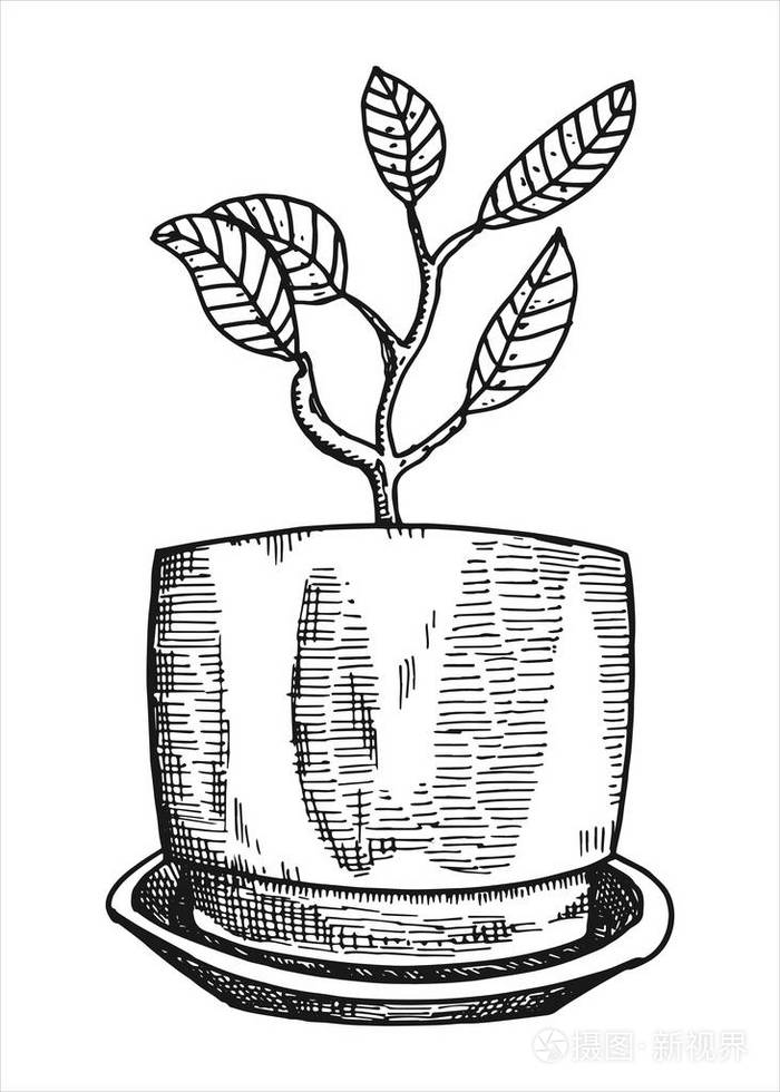 在白色背景上被隔绝的向量插画-正版商用图片09209b-摄图新视界