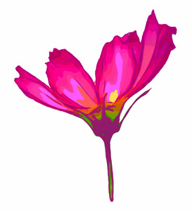 花 向量花在白色背景 花卉设计元素和自然背景插画 正版商用图片 摄图新视界 花 向量花在白色背景 花卉设计元素和自然背景插画 正版商用图片 摄图新视界