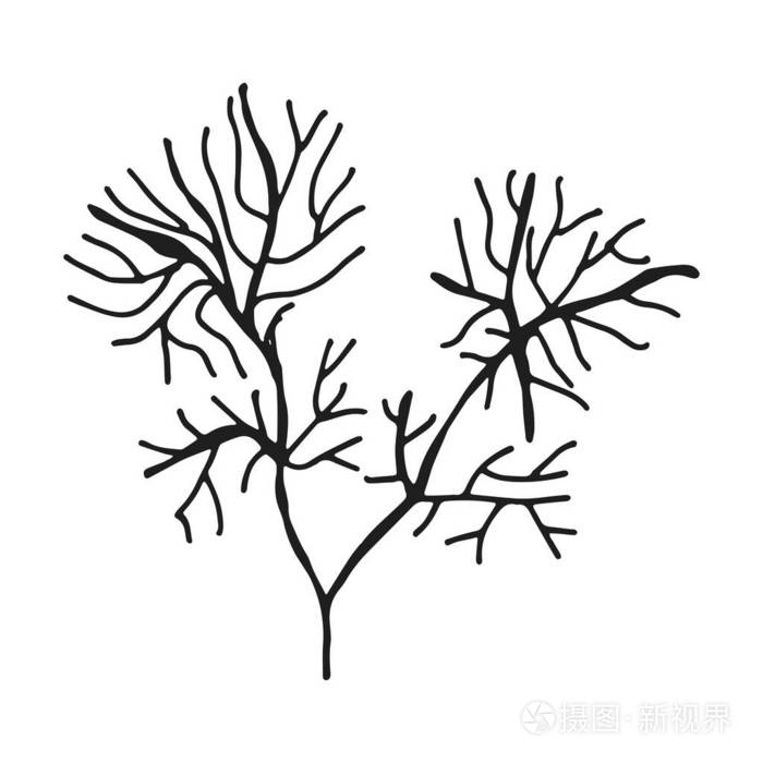 被隔绝的海洋植物插画-正版商用图片0922rd-摄图新视界