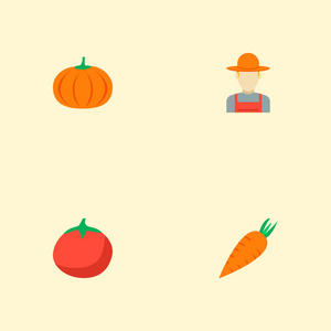一套农业图标平面样式符号与胡萝卜, 南瓜, 农民和其他图标为您的 web 移动应用程序徽标设计