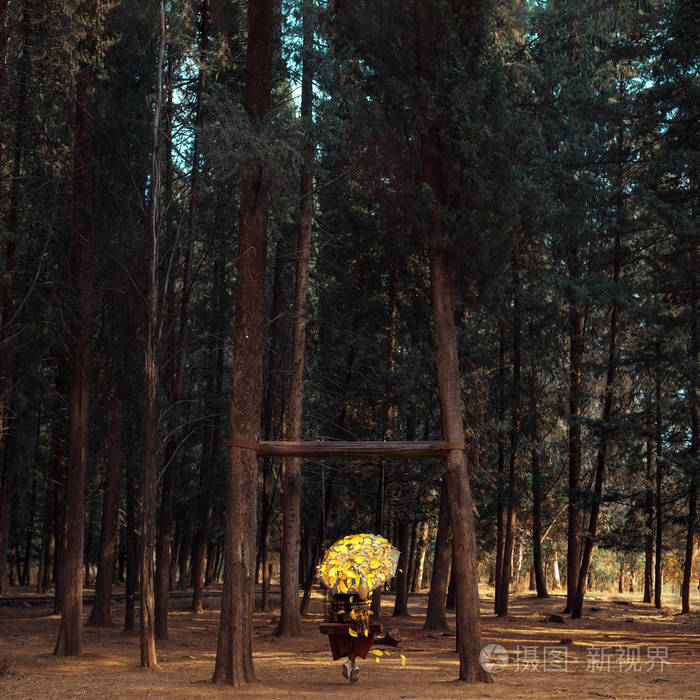 年轻的美丽独自坐在一个公园的秋千下满是秋黄叶的伞和平与梦想极简