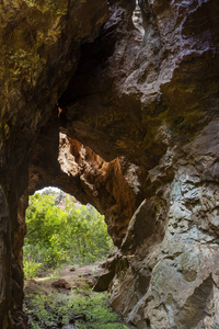 在大坚硬岩石的小隧道, 导致绿色森林在山耶罗, Seviile