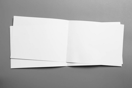 空白肖像模型纸。小册子杂志孤立的灰色, 多变的背景白皮书孤立的灰色