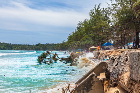 浪击中了露兜树树在卡塔海滩普吉岛在季风季节被粉碎了