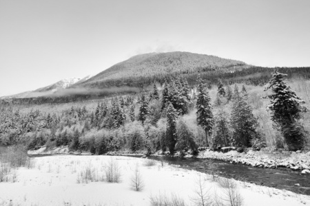 在黑色和白色的 Coquihalla 河