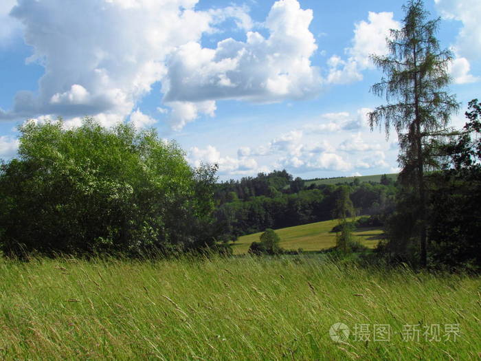 夏季乡村丘陵景观与翠绿的草地, 田野, 尝试和戏剧性的云在天空中