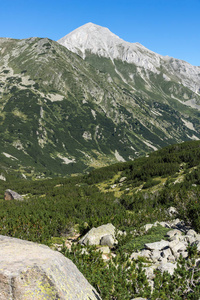 景观与 Hvoynati 和维赫伦峰峰值，皮林山，保加利亚