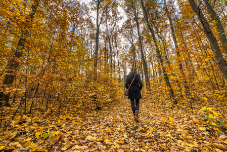 妇女漫步在森林, 秋天风景与落叶
