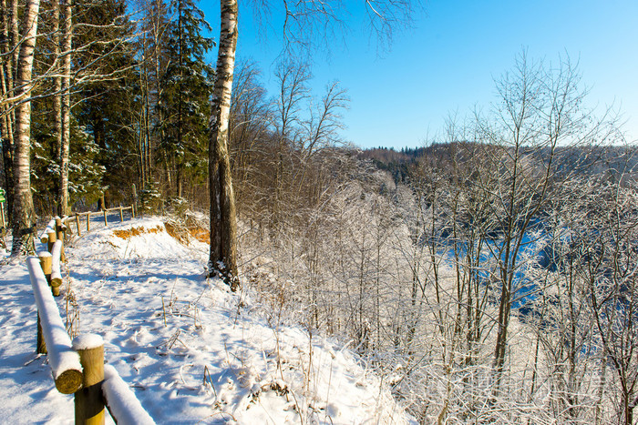 雪覆盖的冬季森林景观与积雪的树木