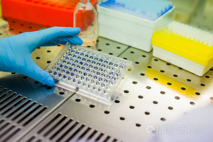 实验室培养细胞培养的科学家