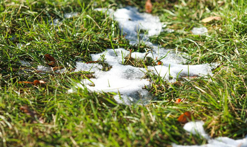 绿草上的第一个雪, 秋天