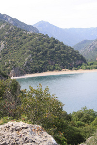 在阳光明媚的日子里, 绿树覆盖的海岸的风景如画的景色