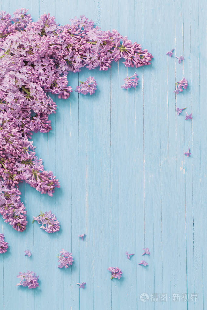 蓝色木质背景丁香花