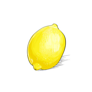 插画家绘制的柠檬