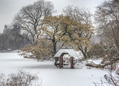 在暴风雪期间纽约中央公园图片