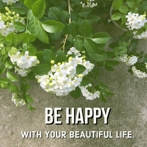 灵感励志名言 快乐与你美丽的生活 在花卉背景