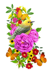 鸟儿坐在一枝鲜艳的红花上, 丁香花, 绿叶, 美丽的蝴蝶。在白色背景下被隔离。花卉组合