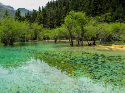 黄龙，中国