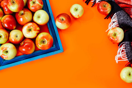成熟的苹果和蓝色复古框架橙色背景与格子格子