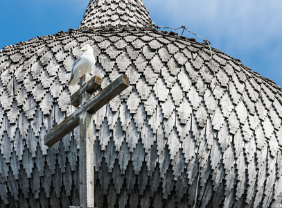 在 Kizhi，在十字架上的鸟的木制教堂的圆顶