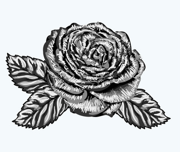 美丽的玫瑰花蕾，与叶画水彩风格