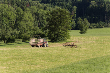 6月在德国南部农村的阳光明媚的夜晚, 哈影与一个古老的拖拉机在夏季场的老农民