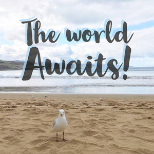 鼓舞人心的动机引述 世界等待 与海鸥在沙滩背景