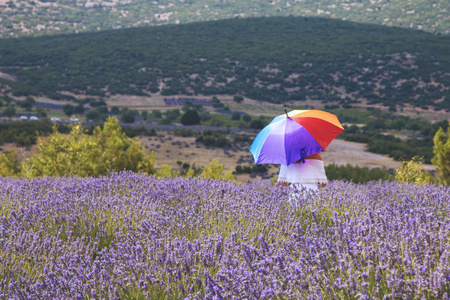 土耳其 Isparta 的芳香薰衣草场与女孩和雨伞