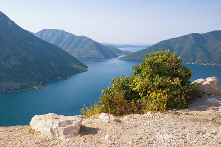 美丽的夏日地中海风光。黑山, 从山坡上看 Kotor 湾