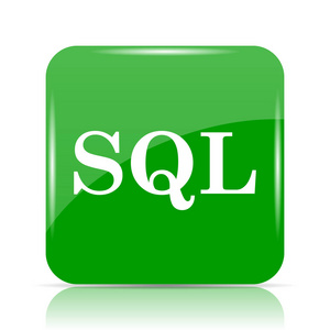 Sql 图标。白色背景上的互联网按钮