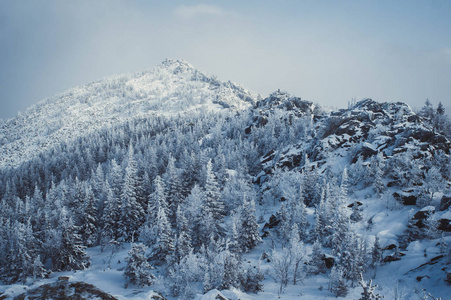 摩尔曼斯克地区科拉半岛艾库艾文乔尔山雪林景观