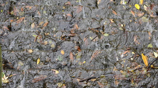 流动的水，用树叶和树枝