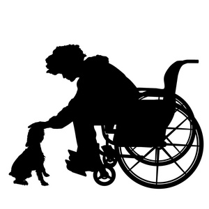 男子坐在轮椅上的狗
