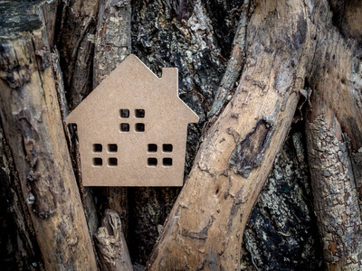 木制的房子在老木根纹理背景。家庭生态学概念